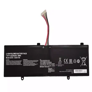 New laptop battery for GAS-F20
